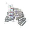 1000 layer chickens cages poultry battery cage for farms