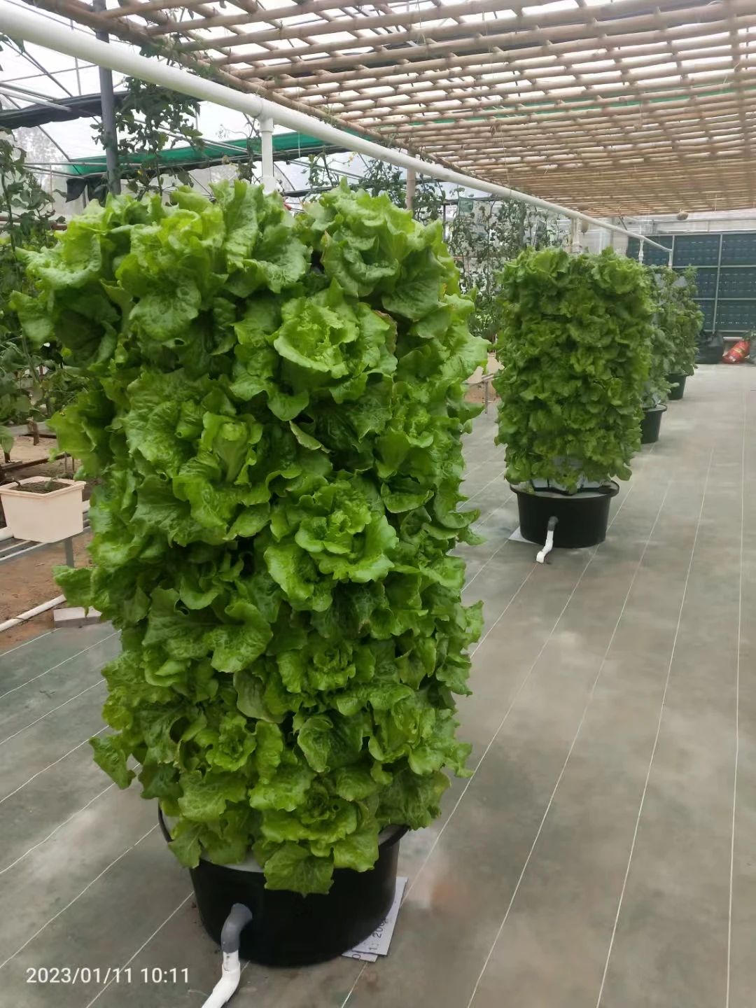 hydroponic vertical tower