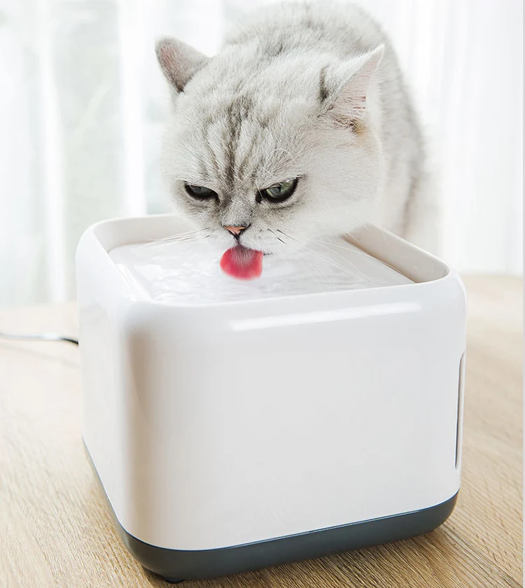 cat water dispenser.jpg