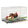Folding Chicken Cage Automatically Roll Eggs