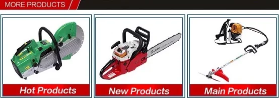 paste-pic-dp_uuid_mifws