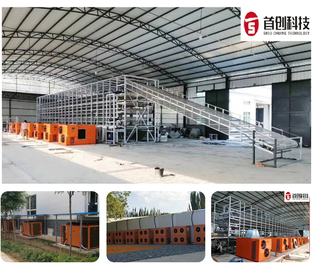 Shouchuang OEM/ODM Industrial Sea-buckthorn Drying Equipment Mesh Belt Dryer