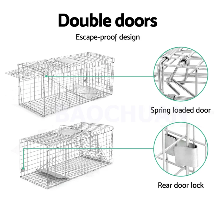 Animal Traps 2.png