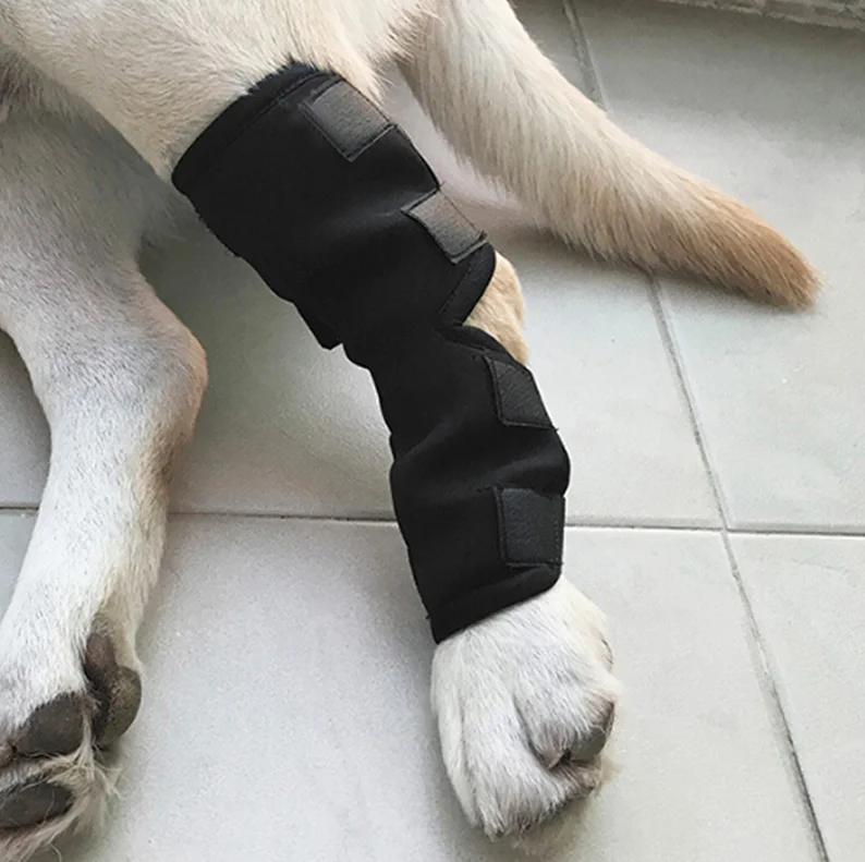 ортез для собаки при разрыве пкс. бандаж на скакательный сустав для собак. ортезы на задние лапы. ортезы на задние лапы. ортез скакательного запястного сустава для собак.