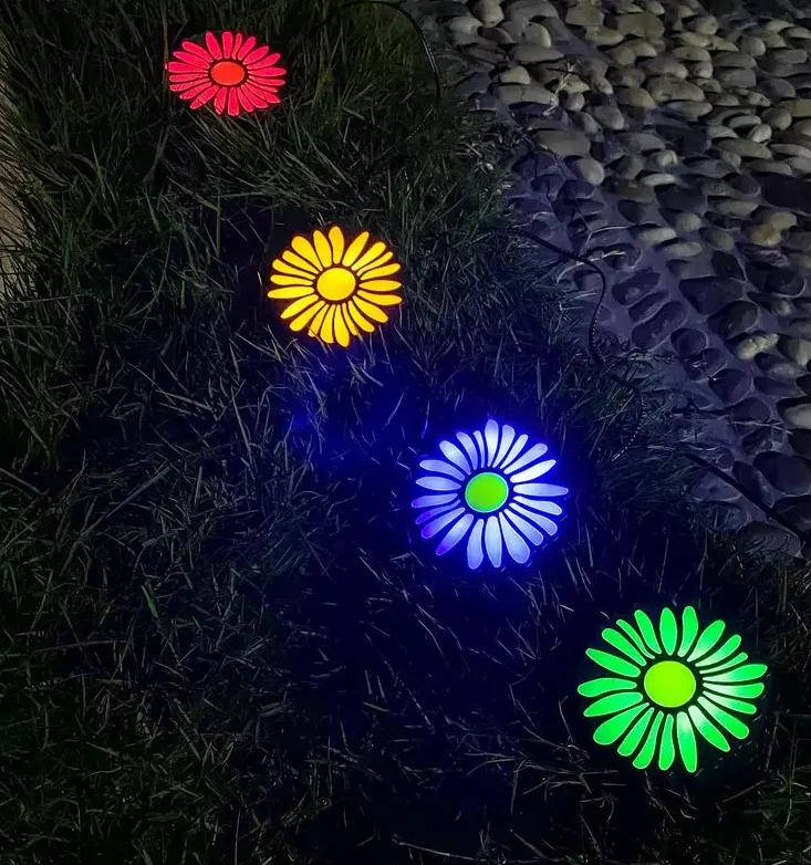 daisy solar string lights