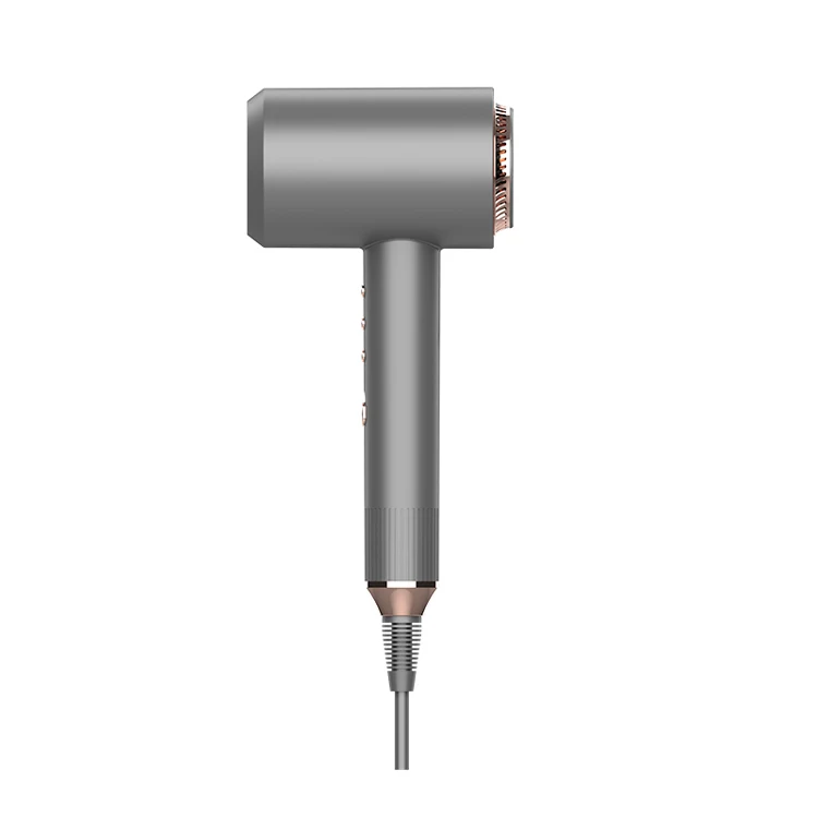 Professional Commercial Hair Dryer Bldc Motor Salon Use Hair Dryer Buy Salon Use Hair Dryer