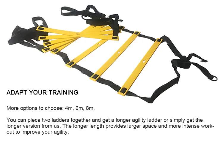 RO8102 detail (2).jpg