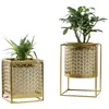 New Nordic ins soft loaded luxury gold hollow desktop creative flower pot ornament