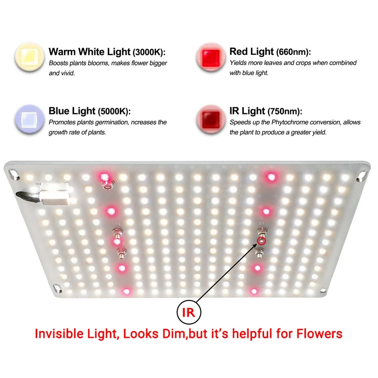 Best seller Koray 3000K 3500k 4000k 5000k lm301b quantum growlights kit 288/128 led grow light for indoor plant