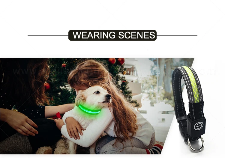 Small Led Dog Collar 1.5cm Width Suits for Small Puppy XXS XS Flashing Light Pet Collar Night Safety USB Led Dog Necklace