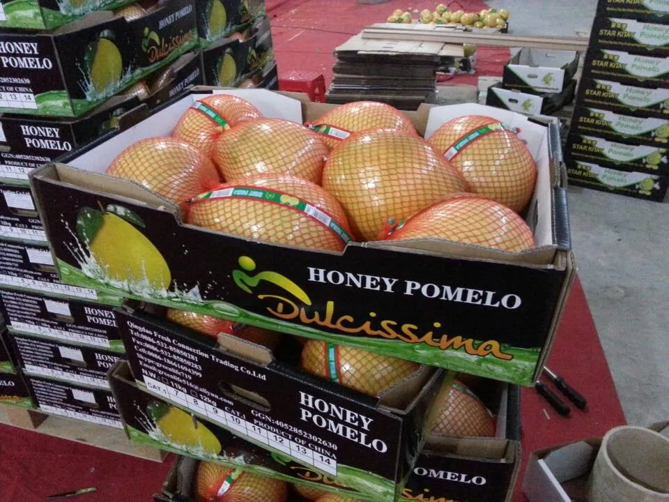 fresh honey pomelo 4.jpg