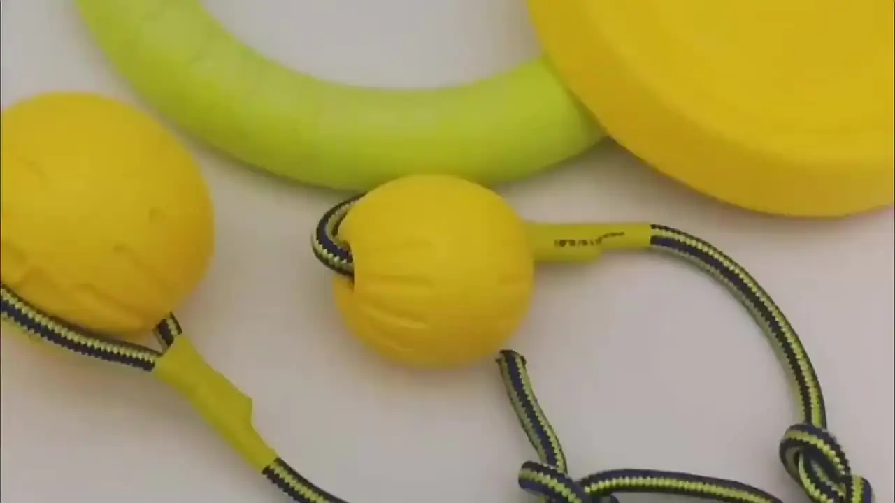 7cm Hollow Ball for Dogs and Cats Durable EVA Foam