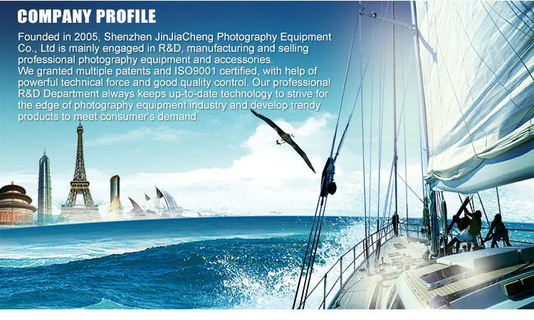 Company profile.jpg