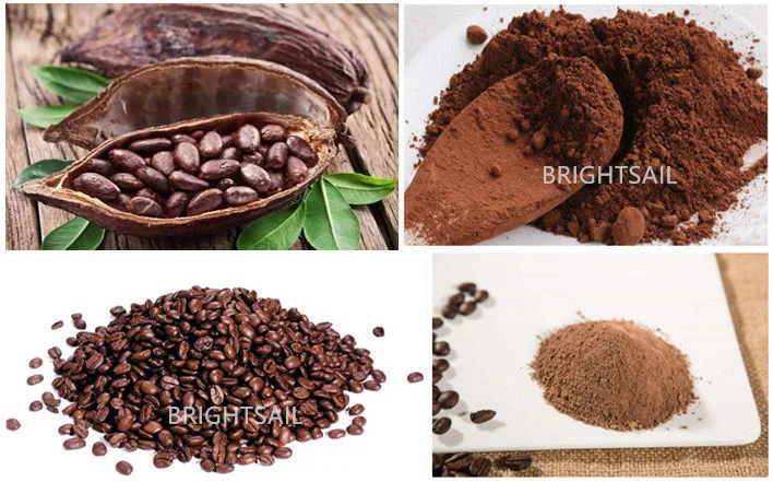 cocoa bean coffee bean.jpg
