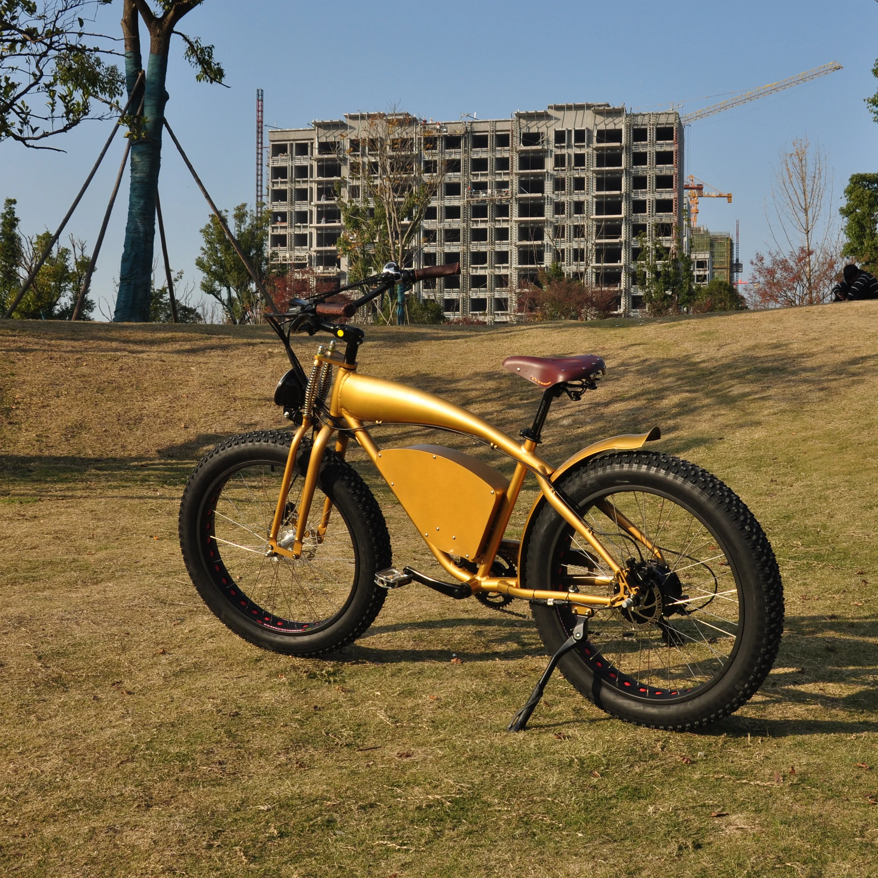 eco cycle electric bike