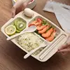 Biodegradable Wheat Straw Kids Food Divided Snack Plate Tray with Flatware Set Plastic 4 Compartments Egg Tray Plate