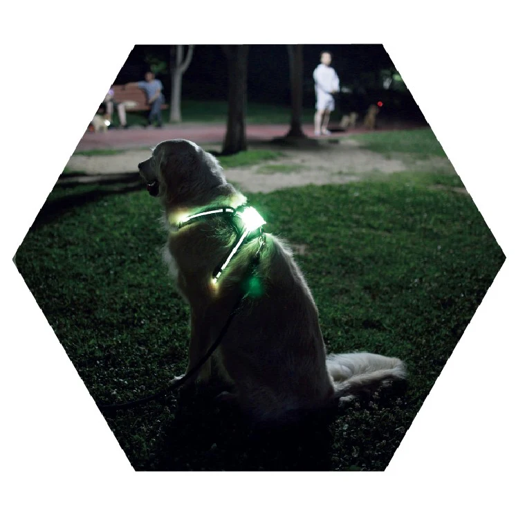 

dog collar with led light no pull dog harness,2 Pieces, Multicolor