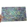 laminate paua shell veneer sheet abalone shell paper
