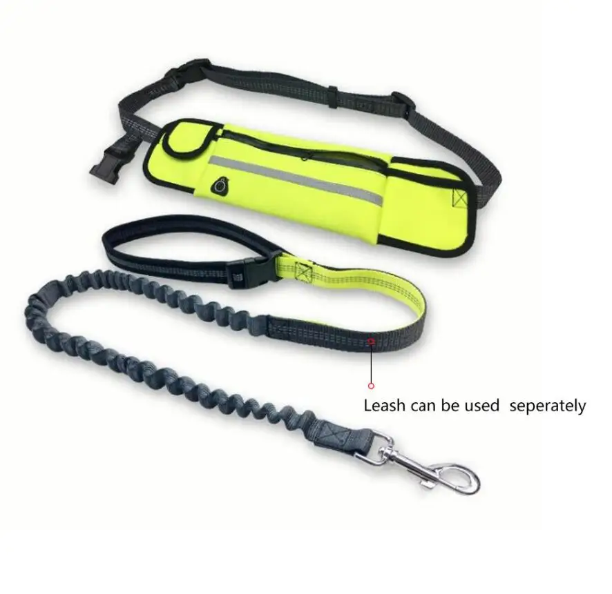 Leash 6.jpg
