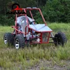 High quality 4-Strokes Adults Go Kart Dune Buggy 1100cc 4x4