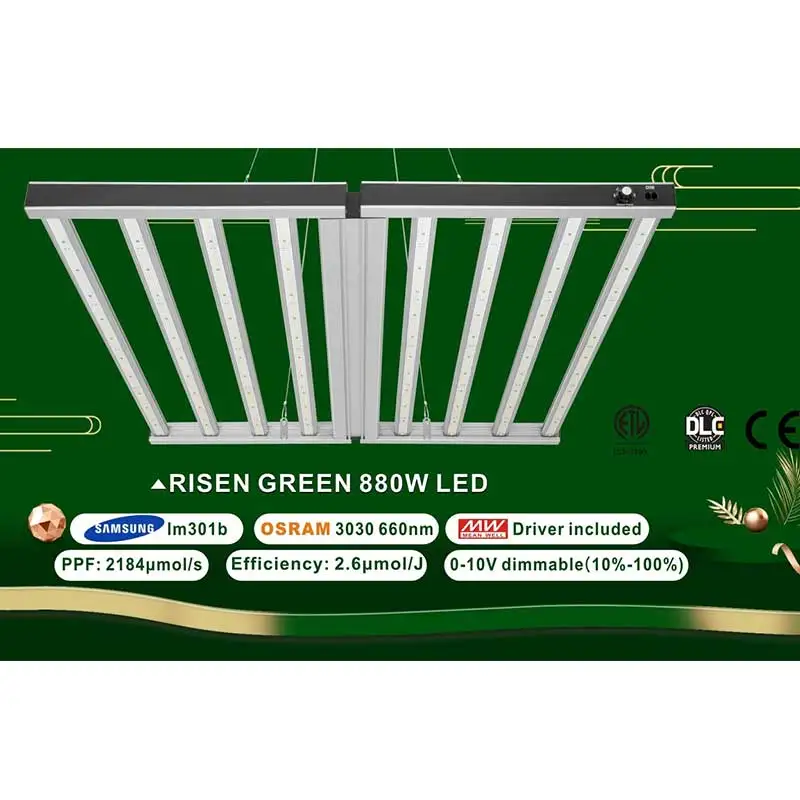 Risen Green Urban Greenhouse Aeroponics Indoor Container Farming High Ppfd Led Grow Light