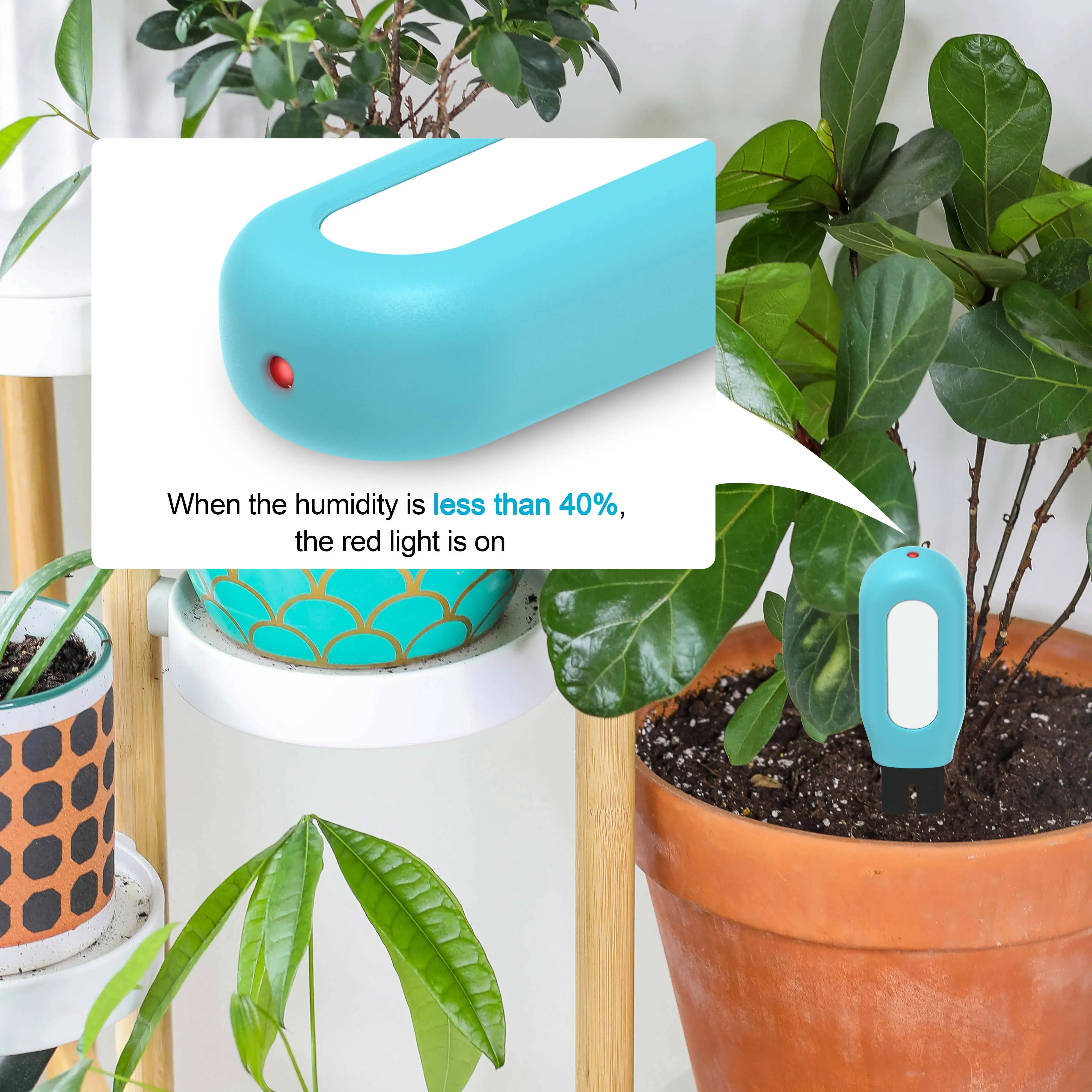 Tuya App 2 In 1 Humidity Temperature Tester Monitoring Ble Smart Soil