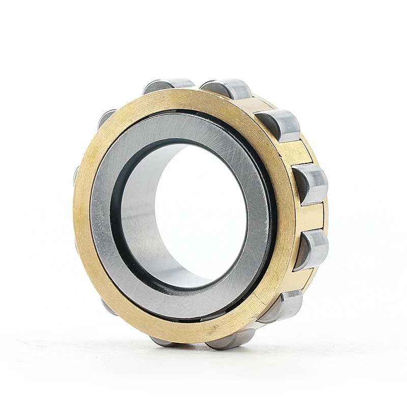 Cylindrical Roller Bearing Without Cup Brass Nylon Cage Rn307 308 309