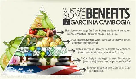 garcinia cambogia 2.jpg