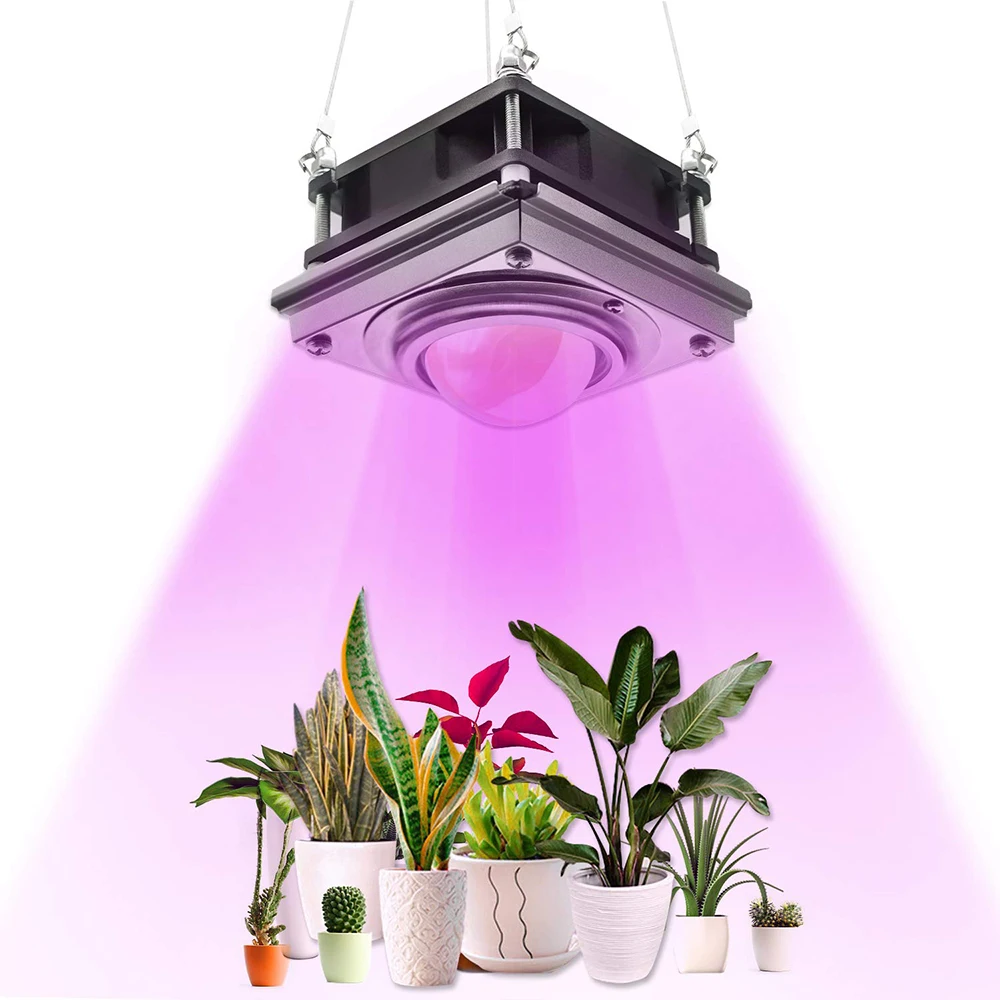 Indoor Garden Greenhouse Plants Fan Hooks Kits Full Spectrum Pink 300W Diy COB LED Grow Light Kits