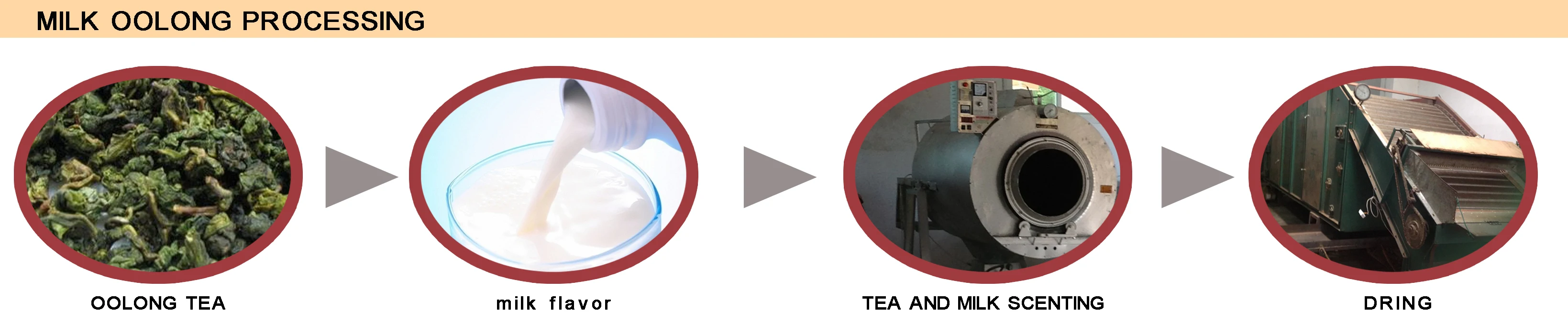 Milk Oolong tea processing.jpg