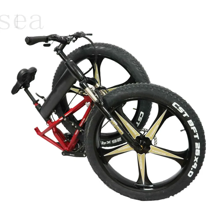 20''folding Electric Bicycle Light Weight/the Electric Bicycle Company