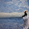 New Fashion Chantilly Lace Border Fabric, High Quality Eyelash Lace Trim White Chantilly For Garment