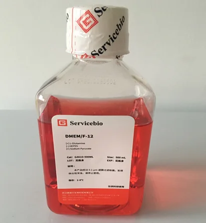 Servicebio