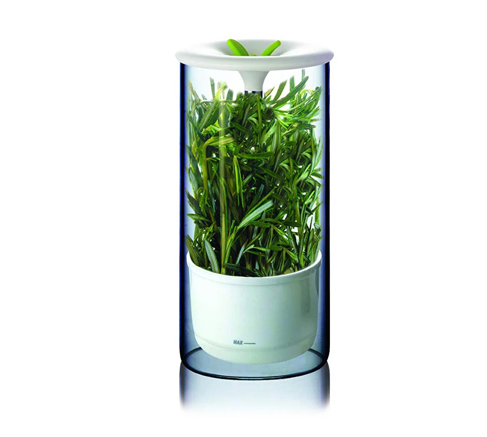 2021 Green Saver Herb Keeper Fresh Herb Preserver For Fridge,Herb Savor