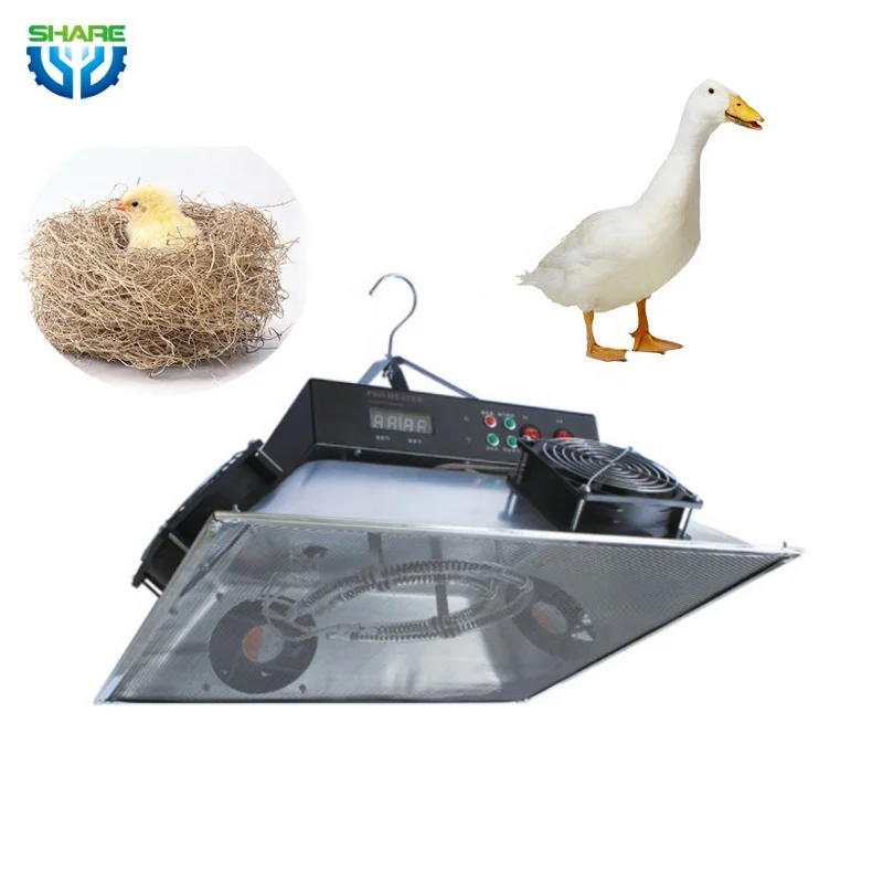 Venta al por mayor jaula para gas-Compre online los mejores jaula para