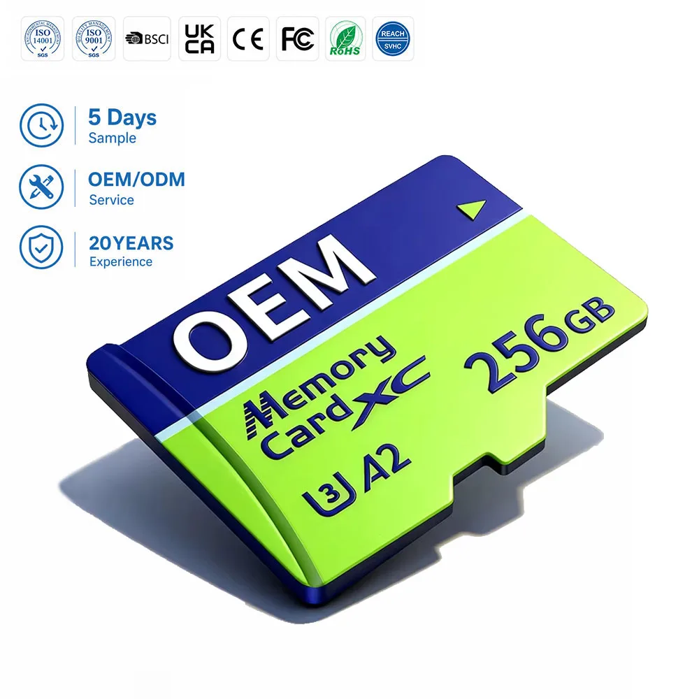 Side-by-side comparison of SanDisk Extreme PRO, Samsung PRO Plus, and TeamGroup T-Create Expert 1TB SDXC cards