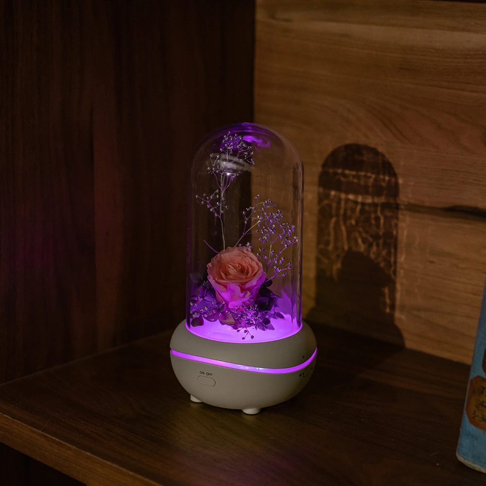 New Items 2019 Fresh Flower Battery Powered 7 Color Led Light Usb