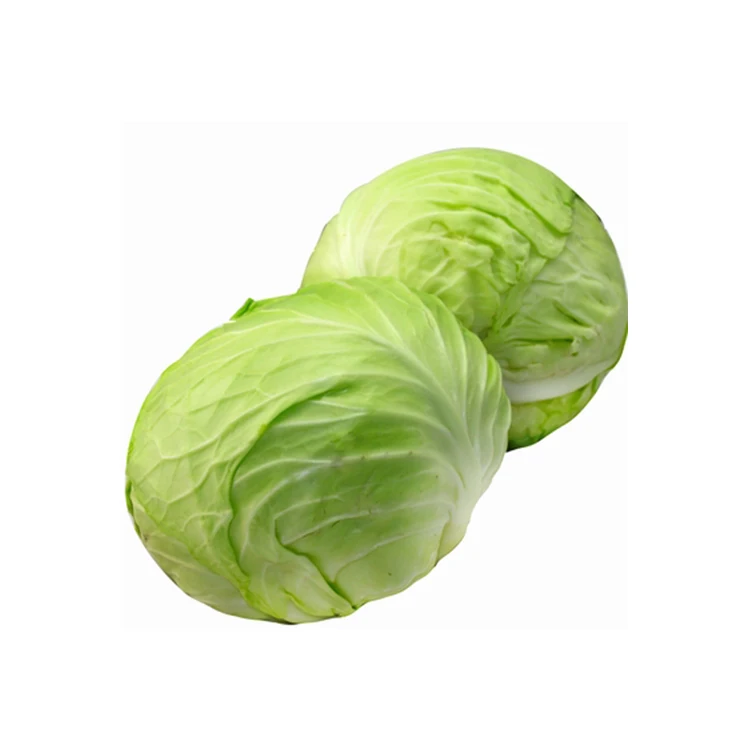 
Bulk Fresh green cabbage from new crop of 2020 export standard 