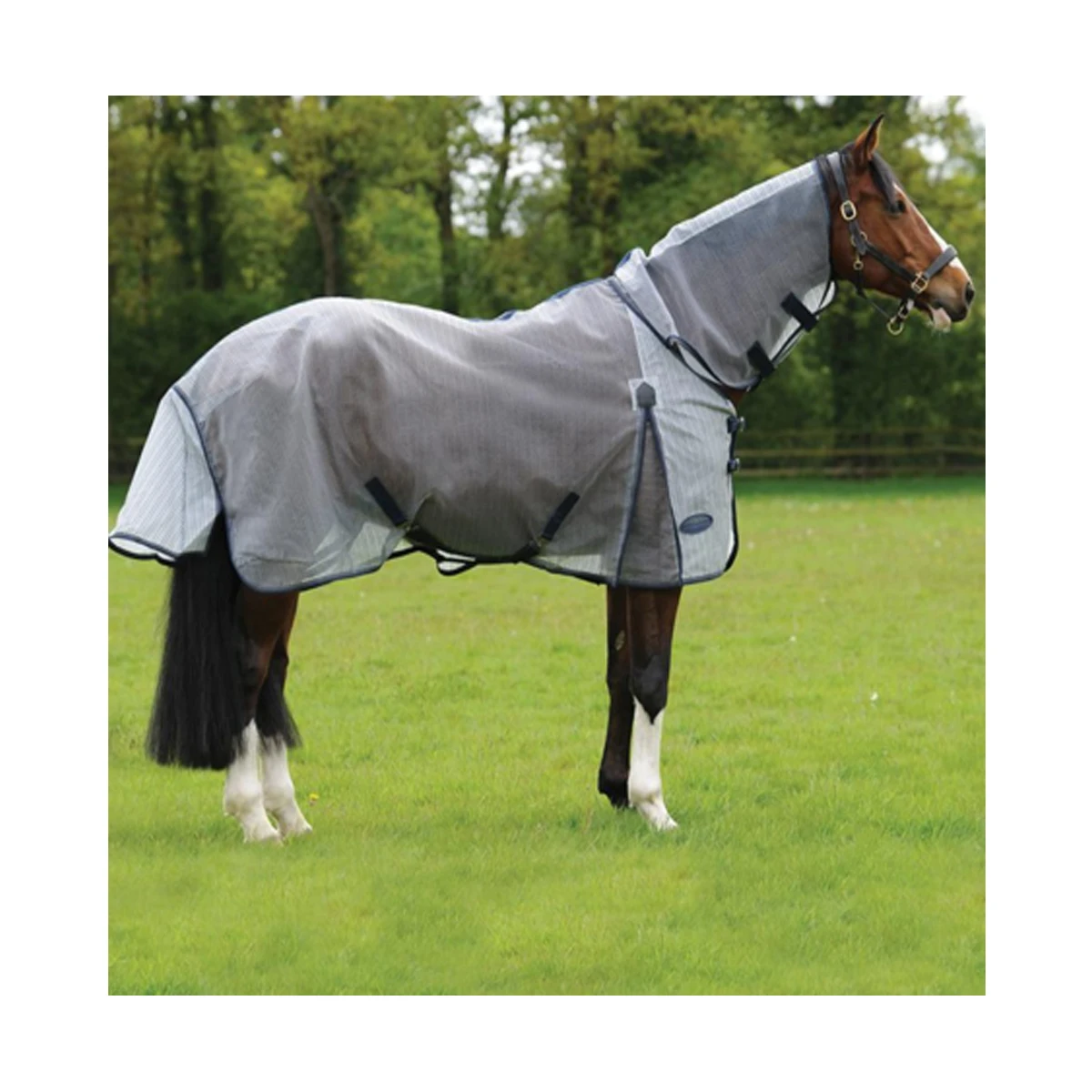 Equestrian Summer Horse Fly Sheet For Hors Riding Buy Horse Fly Sheet