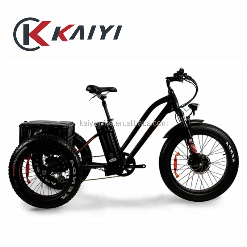 tri wheel ebike