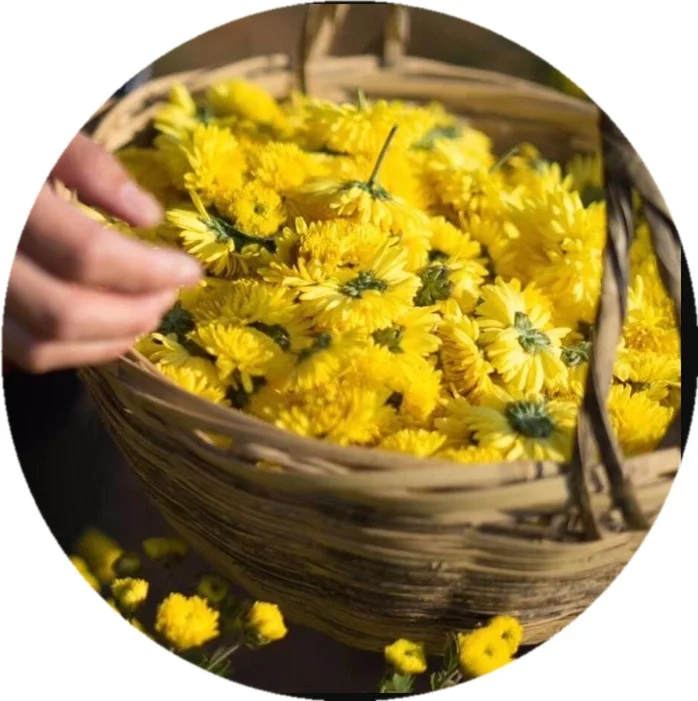Traditional Natural Flower Tea Dried Yellow Chrysanthemum Tea - 4uTea | 4uTea.com