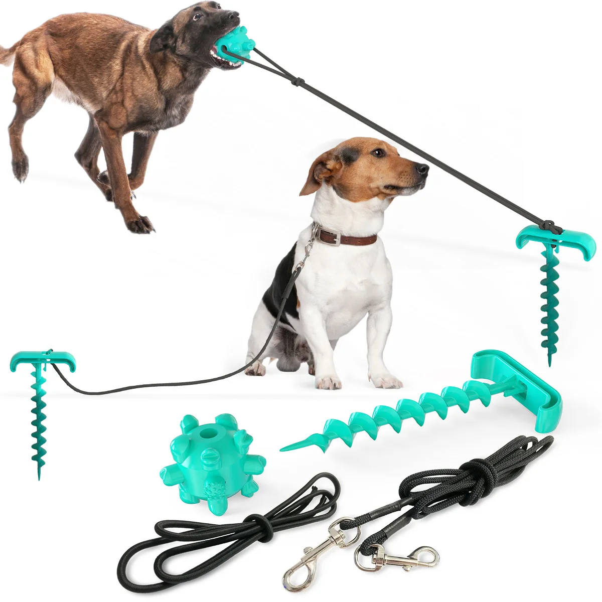 dog stick leash