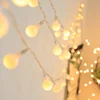 battery operated LED globe frosted white ball fairy light string
