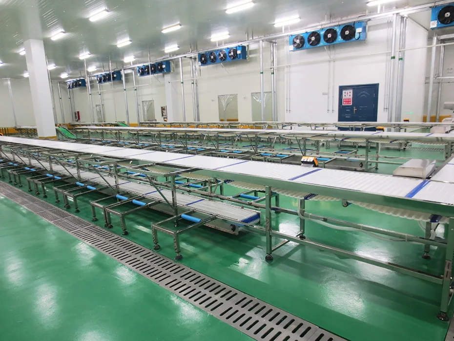 Qingdao Raniche Meat Processing Line Goat Plant Cow Meat Processing