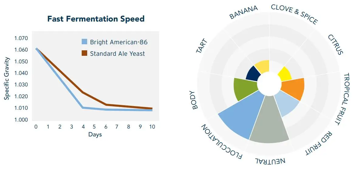 A86 American Ale Brewers Yeast For Ipa Pale Ales And American Wheat