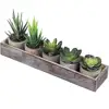 /product-detail/mini-fake-succulent-cactus-aloe-potted-plant-arrangements-decorative-assorted-potted-artificial-succulents-plants-in-gray-pots-62242279778.html