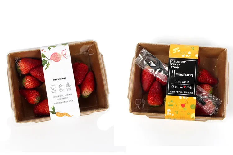 Restaurant Container Fast Food