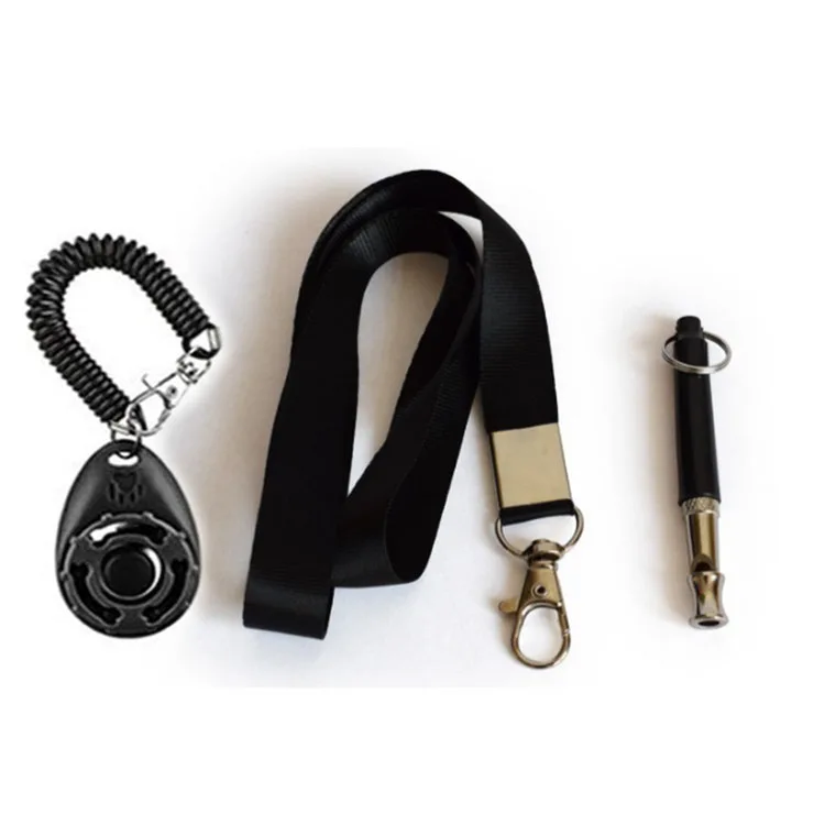 dog training set