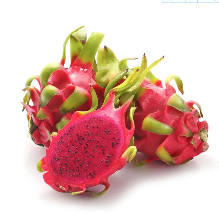 wholesale best price nutritious fresh red dragon fruit for sale