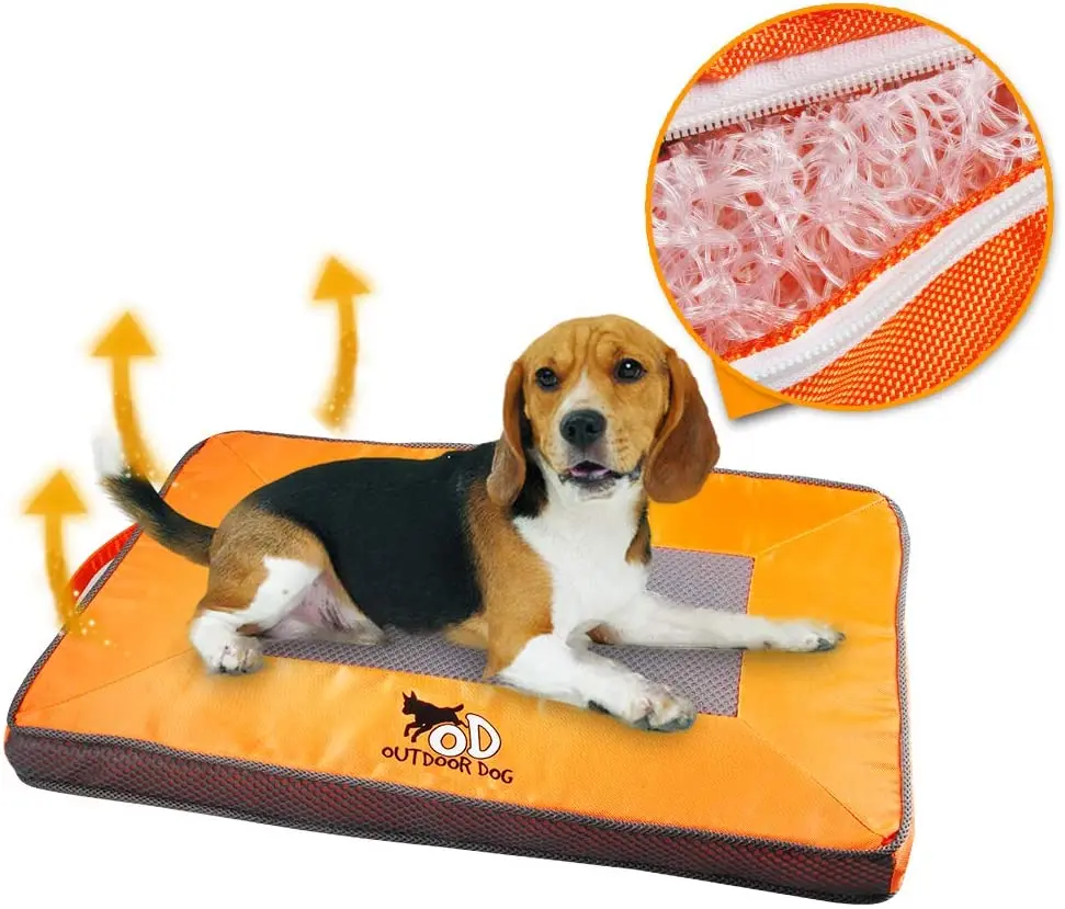 cool dog accessories